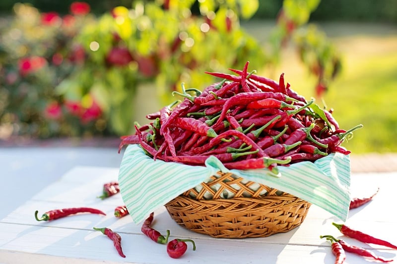 Dragon Fire Chili